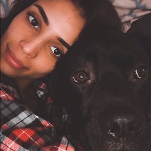 Meet your Posher, Holly